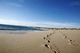 Kalbarri Palm Resort - Tourism Guide 4