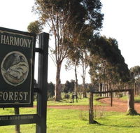 Harmony Forest - Tourism Guide