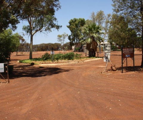 Alice Atkinson Caravan Park - Tourism Guide 1