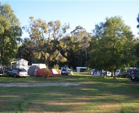 Weldborough Hotel - Tourism Guide 2