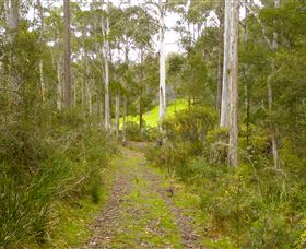 Huon Valley Eco Wilderness Retreat - Tourism Guide 5