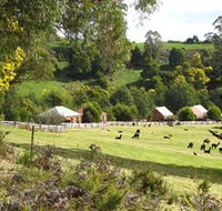 Tin Dragon Trail Cottages - Tourism Guide