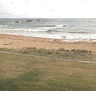 Penguin Caravan Park - Tourism Guide