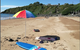 Sandpiper Motel - thumb 5