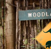 Woodlands Rainforest Retreat - Tourism Guide