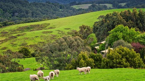 Johanna River Farm And Self Contained Cottages - Tourism Guide 1