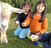 Johanna River Farm and Self Contained Cottages - Tourism Guide