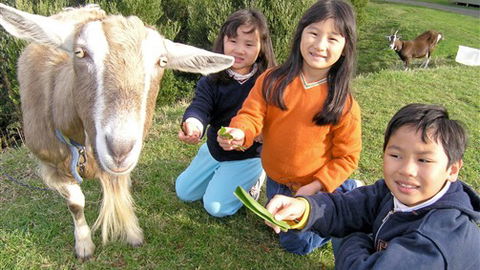 Johanna River Farm And Self Contained Cottages - Tourism Guide 0