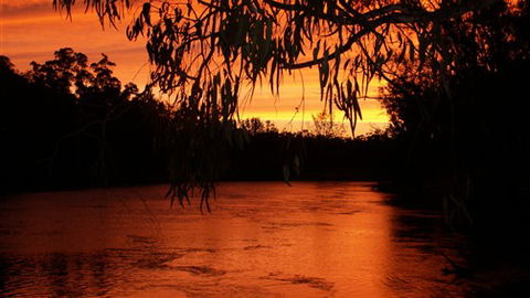 Cadell On The Murray Motel - Tourism Guide 0