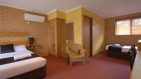 Blue Whale Motor Inn & Apartments - Tourism Guide 5