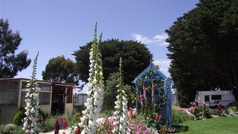 Colac Otway Caravan & Cabin Park - Tourism Guide 1
