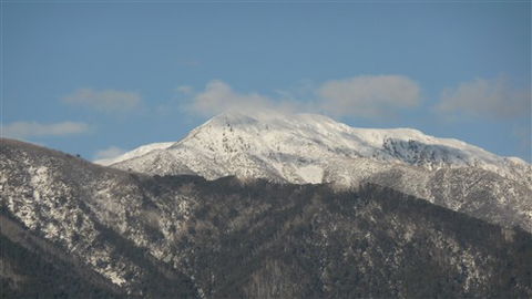 Alpenhorn Holiday Units - Tourism Guide 5