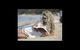 Bellarine Bayside Holiday Parks - thumb 4