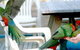 Lorne Bush House Cottages & Eco Retreats - thumb 3