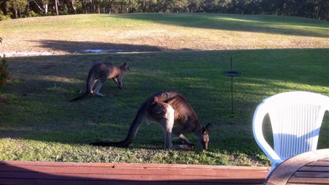 Lorne Bush House Cottages & Eco Retreats - Tourism Guide 8