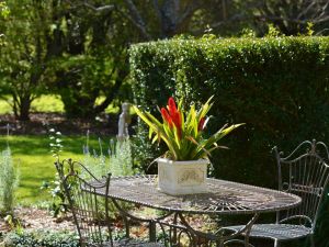 Arcadia Cottages - Tourism Guide 3