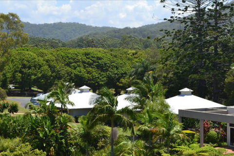 Absolute Beachfront Opal Cove Resort - Tourism Guide 9
