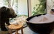 Jamala Wildlife Lodge - thumb 0