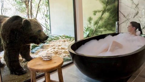 Jamala Wildlife Lodge - Tourism Guide 0