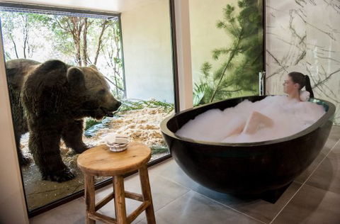 Jamala Wildlife Lodge - Tourism Guide 1