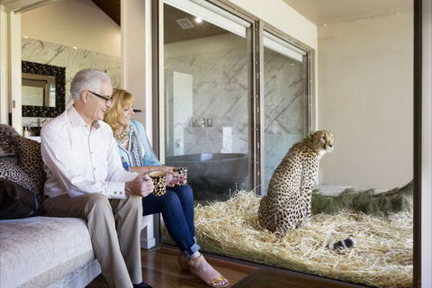 Jamala Wildlife Lodge - Tourism Guide 3