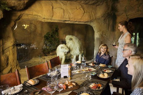 Jamala Wildlife Lodge - Tourism Guide 6
