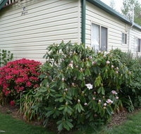 Jenolan Caravan Park