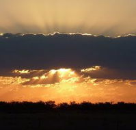 Collie Hotel - Tourism Guide