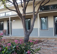 The Grape and Olive in Willunga - Tourism Guide