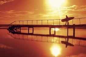 Arrawarra Beach Holiday Park - Tourism Guide 1