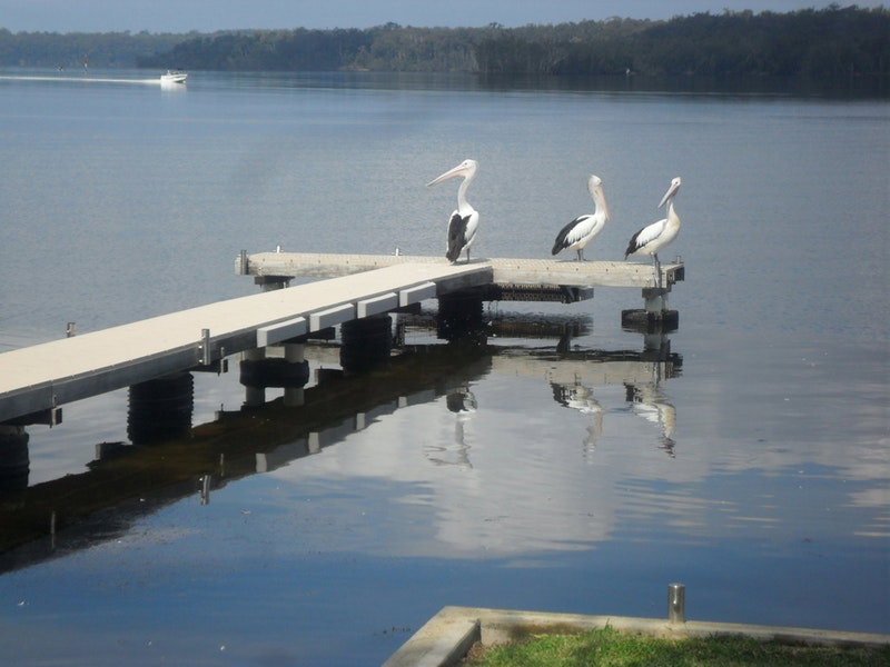 Basin View NSW Travel Search