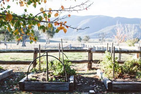 Alpine Edge Accommodation - Tourism Guide 5