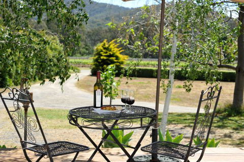 Casolare B&B Vineyard Accommodation - Tourism Guide 5