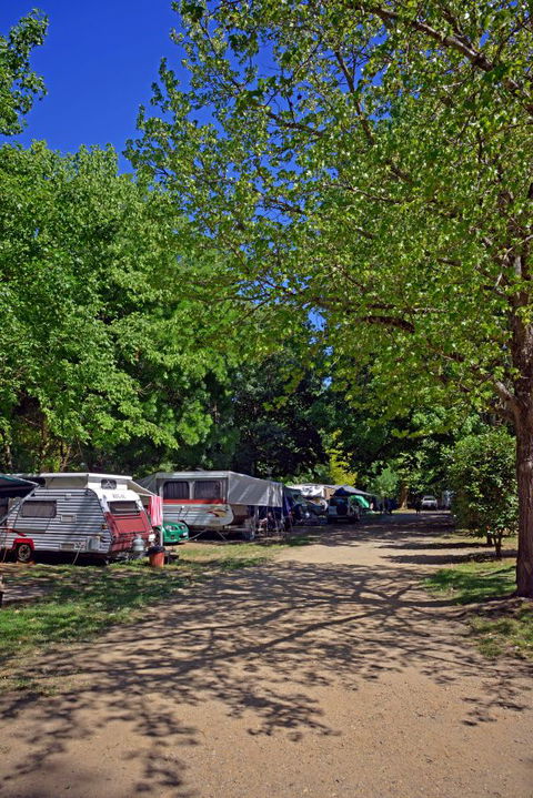 Ardern's Caravan Park, Myrtleford - Tourism Guide 1