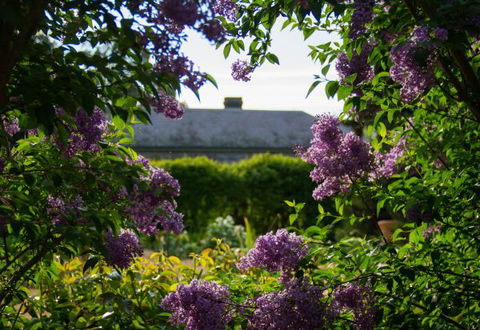 Eurambeen Historic Homestead And Gardens - Tourism Guide 1