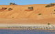 Herald Bight Camp At Francois Peron National Park - thumb 3