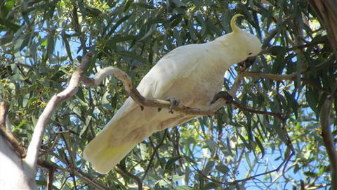 River Gardens Bed And Breakfast Farmstay - Travel Agents 1