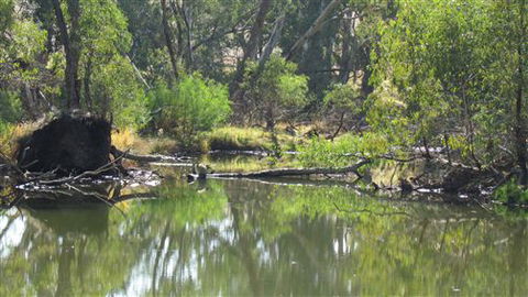 River Gardens Bed And Breakfast Farmstay - Travel Agents 2