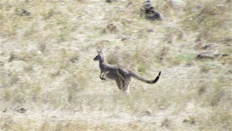 River Gardens Bed And Breakfast Farmstay - Travel Agents 7