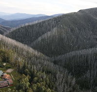 YMCA Howmans Gap Alpine Centre - Tourism Guide