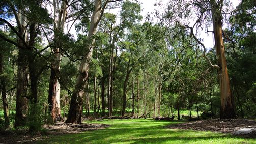 Boorcan VIC Tourism Guide