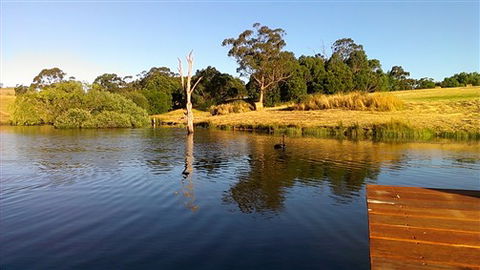 Cygnet Park Country Retreat - Travel Search 4