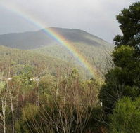 Wattletree Cottage - Tourism Guide