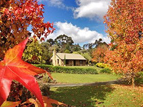 Adelaide Hills Country Cottages - Lavender Fields - Tourism Guide 0