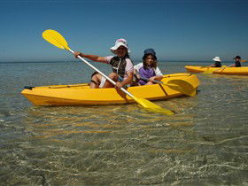 Ceduna Shelly Beach Caravan Park And Beachfront Villas - Travel Agents 3