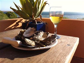 Ceduna Shelly Beach Caravan Park And Beachfront Villas - Travel Agents 4
