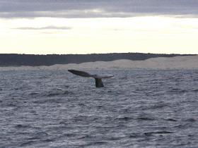 Fowlers Ocean Eco Retreat - Travel Agents 2