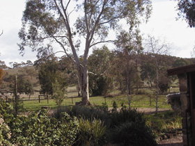Settlers Cottage - Tourism Guide 0