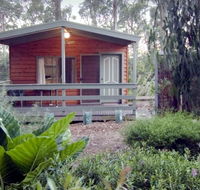 A Maze 'N Things Holiday Park - Tourism Guide
