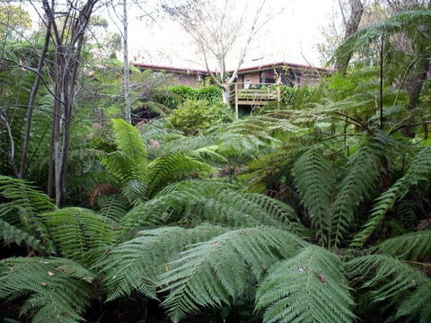 Adelaide Hills Bed & Breakfast Accommodation - Tourism Guide 3